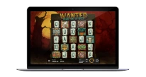 Wanted Dead or a Wild